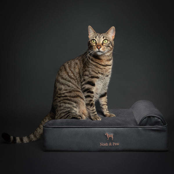 Faux Leather Orthopedic Dog Bed, Classic Style, Black