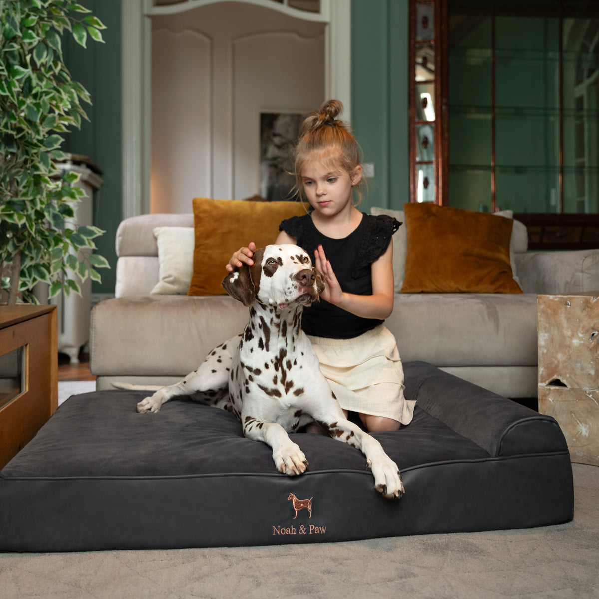 Orthopedic Faux Leather Pet Bed Classic Style - Black - XL