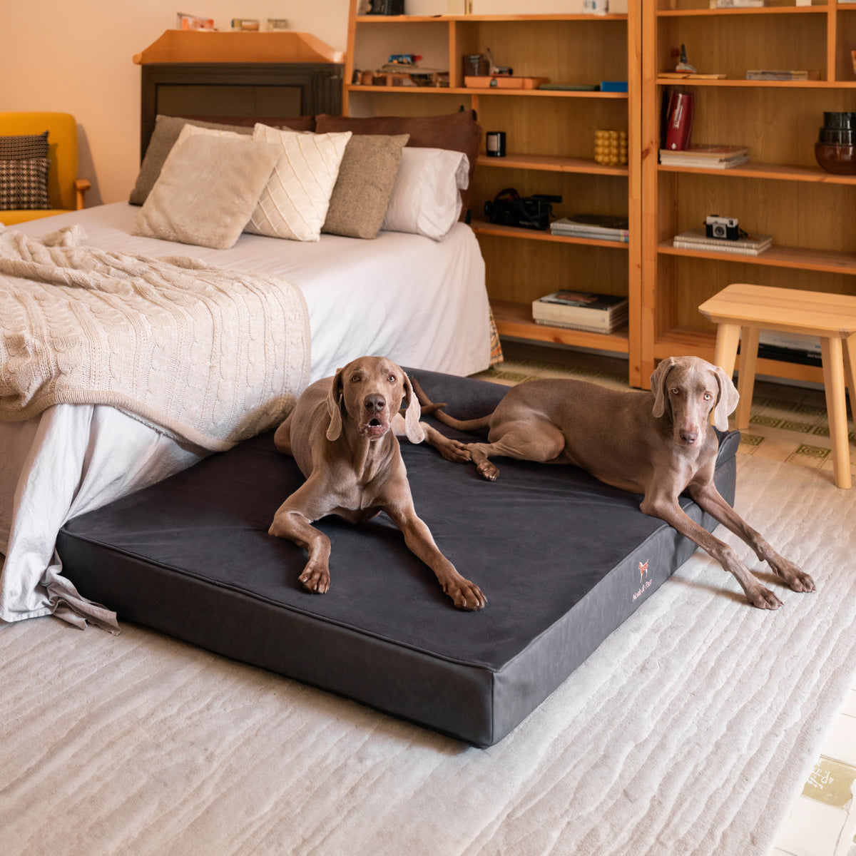 Orthopedic Faux Leather Pet Bed Classic Style - Black - XL