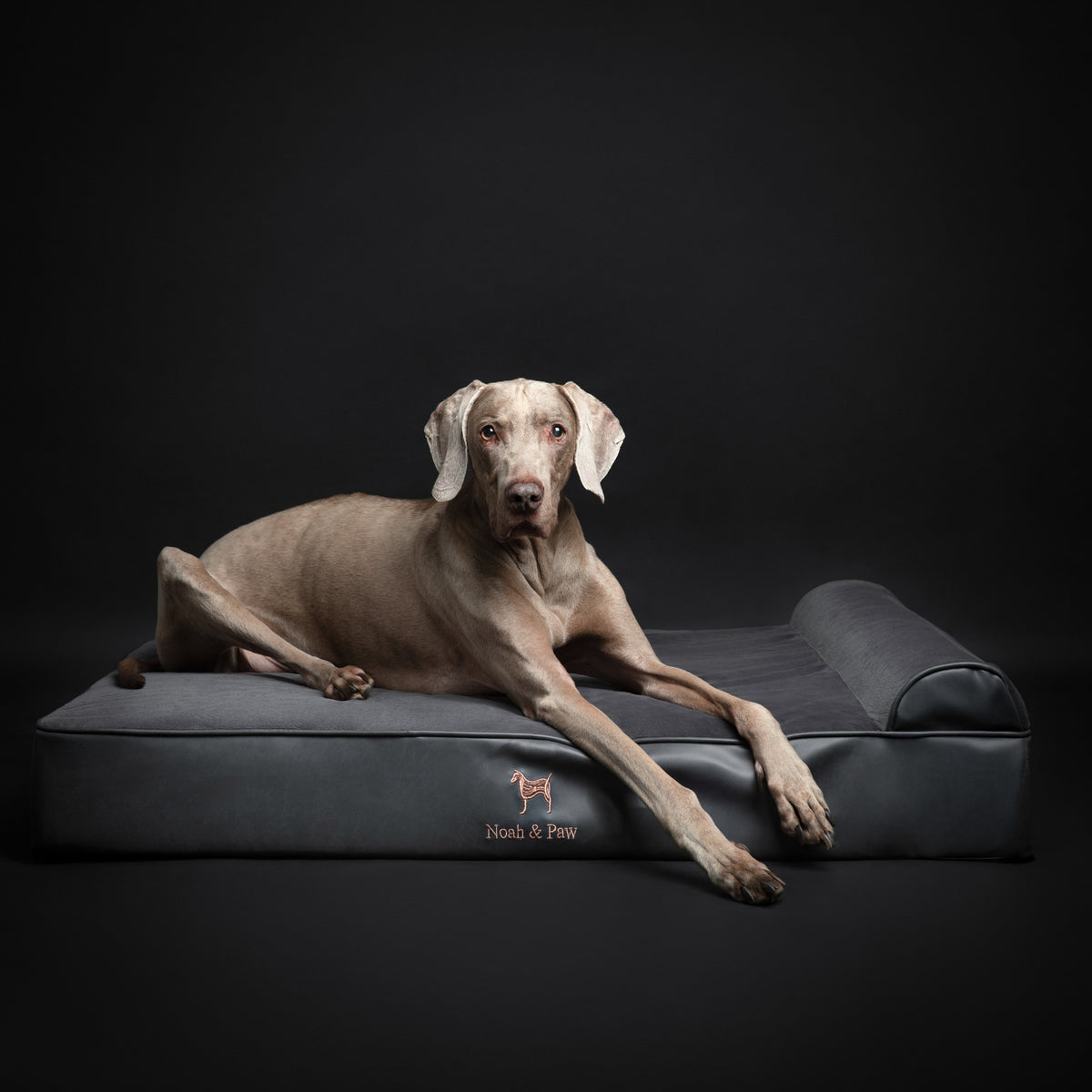 Orthopedic Faux Leather Pet Bed Classic Style - Black - XL