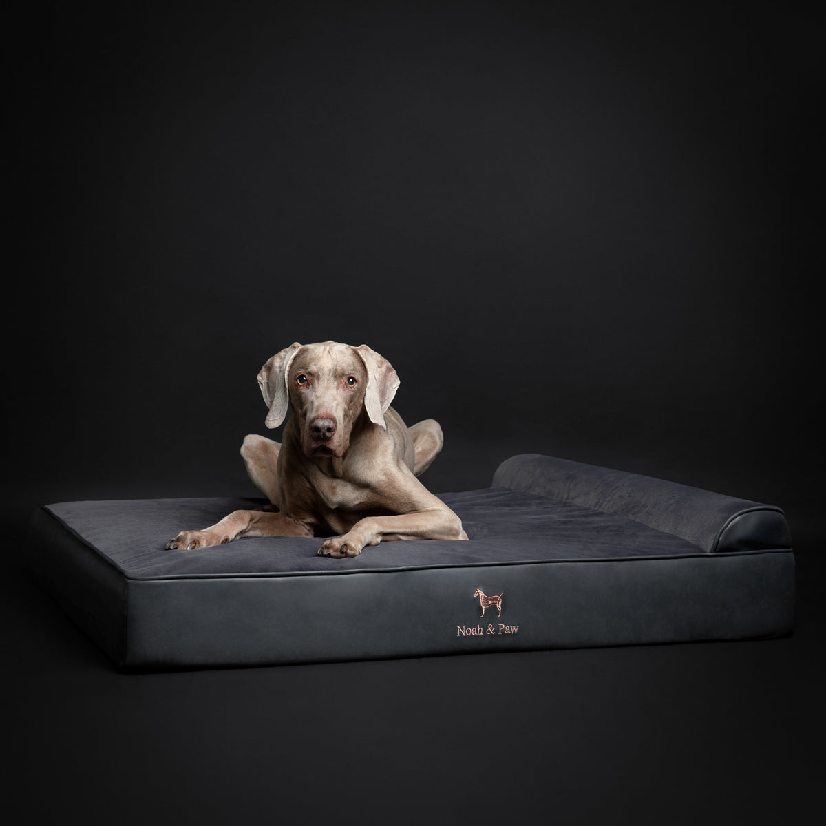 Orthopedic Faux Leather Pet Bed Classic Style - Black - XL