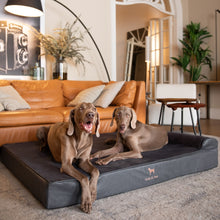 Noah & Paw orthopedic classic dog bed in faux leather with memory foam and cooling gel, black, size XXL (55 x 45 x 9.5 in)