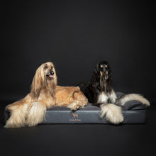 Noah & Paw orthopedic classic dog bed in faux leather with memory foam and cooling gel, black, size XXL (55 x 45 x 9.5 in)