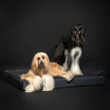 Noah & Paw orthopedic classic dog bed in faux leather with memory foam and cooling gel, black, size XXL (55 x 45 x 9.5 in)