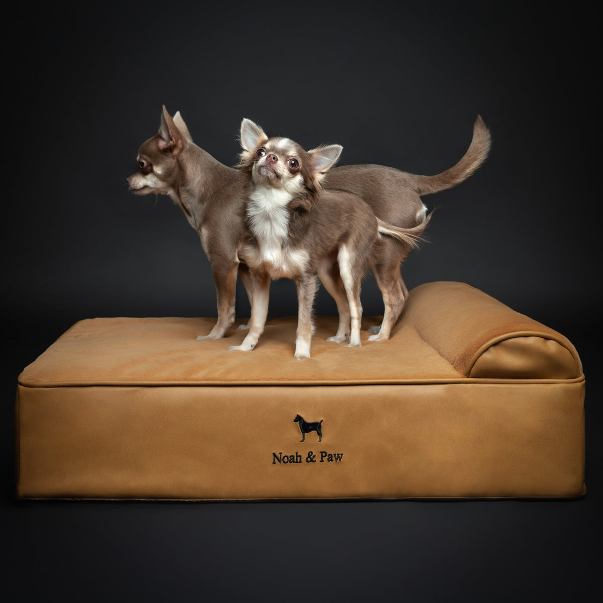 Orthopedic Faux Leather Pet Bed Classic Style - Camel - M