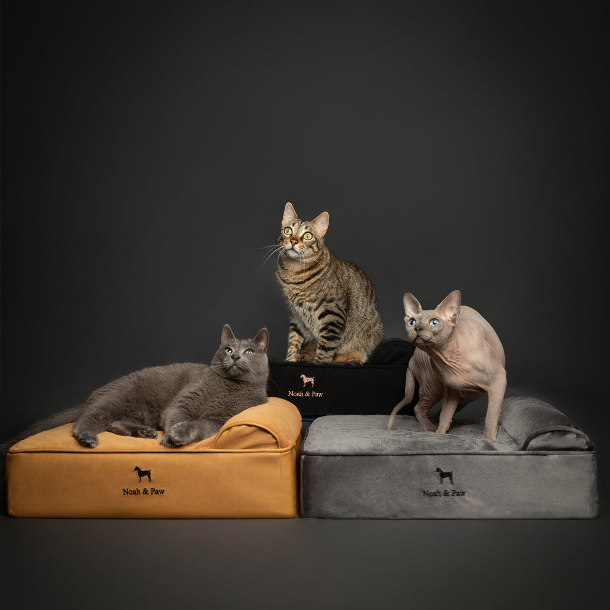 Orthopedic Faux Leather Pet Bed Classic Style - Camel - M