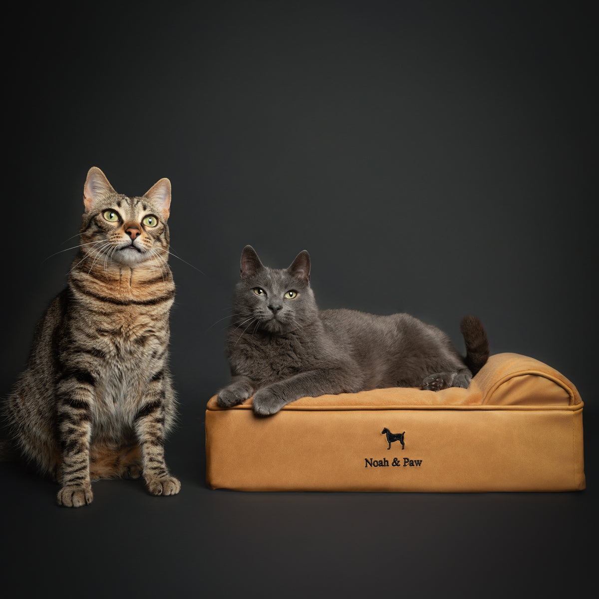 Orthopedic Faux Leather Pet Bed Classic Style - Camel - S