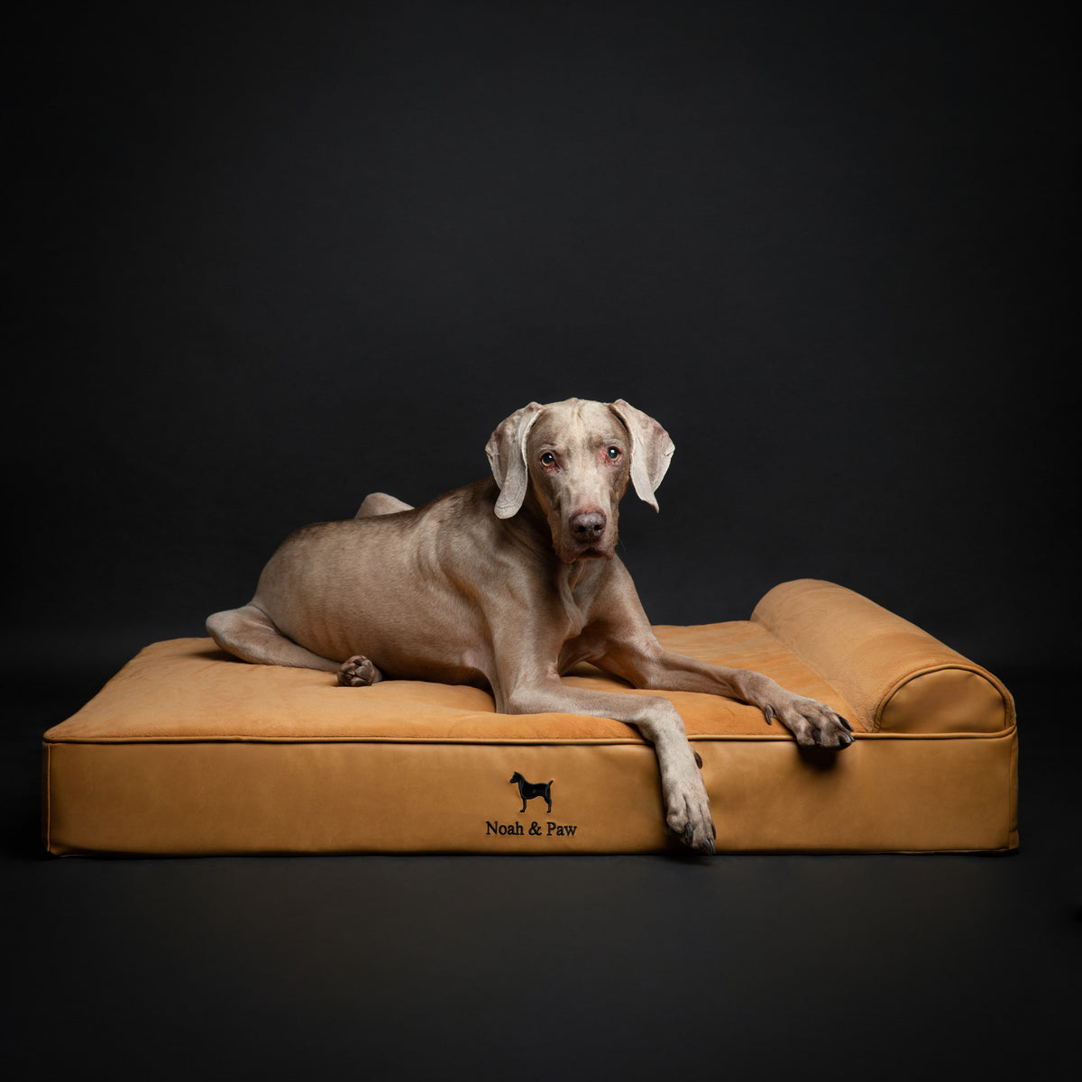 Orthopedic Faux Leather Pet Bed Classic Style - Camel - XL