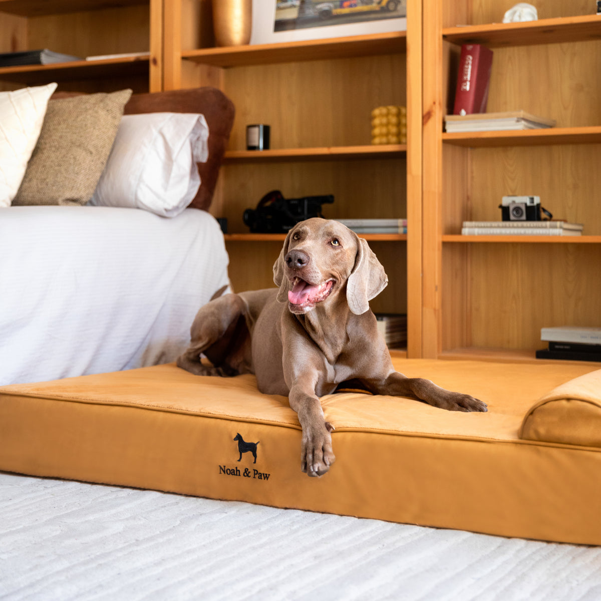 Orthopedic Faux Leather Pet Bed Classic Style - Camel - XXL