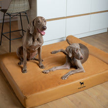 Noah & Paw orthopedic classic dog bed in faux leather with memory foam and cooling gel, camel, size XXL (55 x 45 x 9.5 in)
