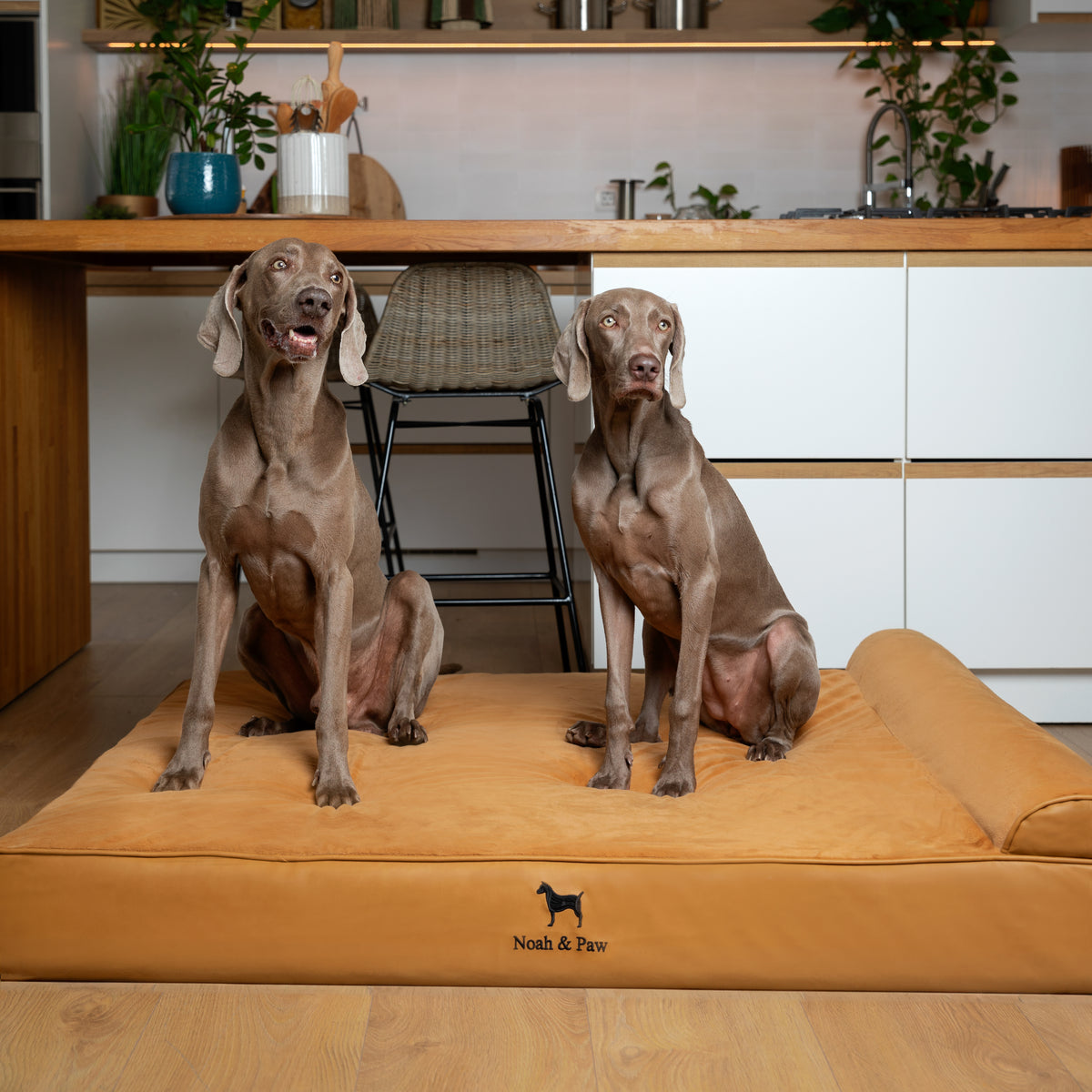 Orthopedic Faux Leather Pet Bed Classic Style - Camel - XXL