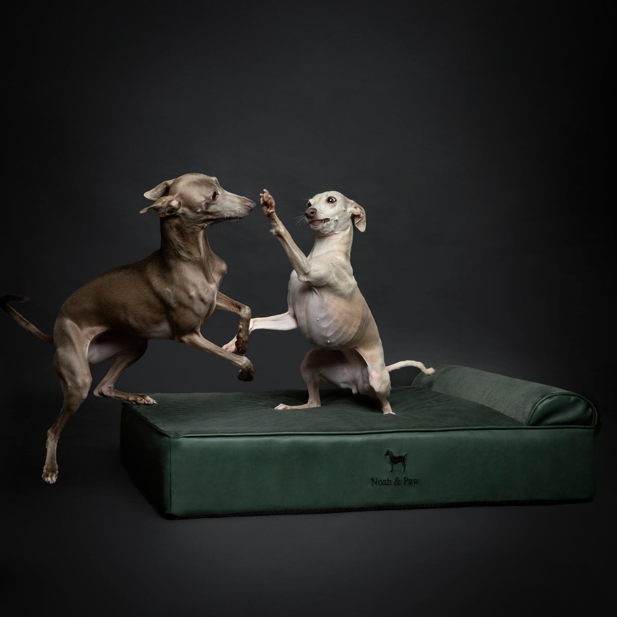 Orthopedic Faux Leather Pet Bed Classic Style - Dark Green - L