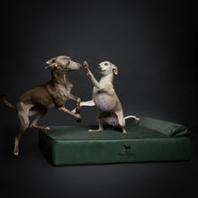 Noah & Paw orthopedic classic dog bed in faux leather with memory foam and cooling gel, dark green, size L (35 x 25 x 8.7 in)