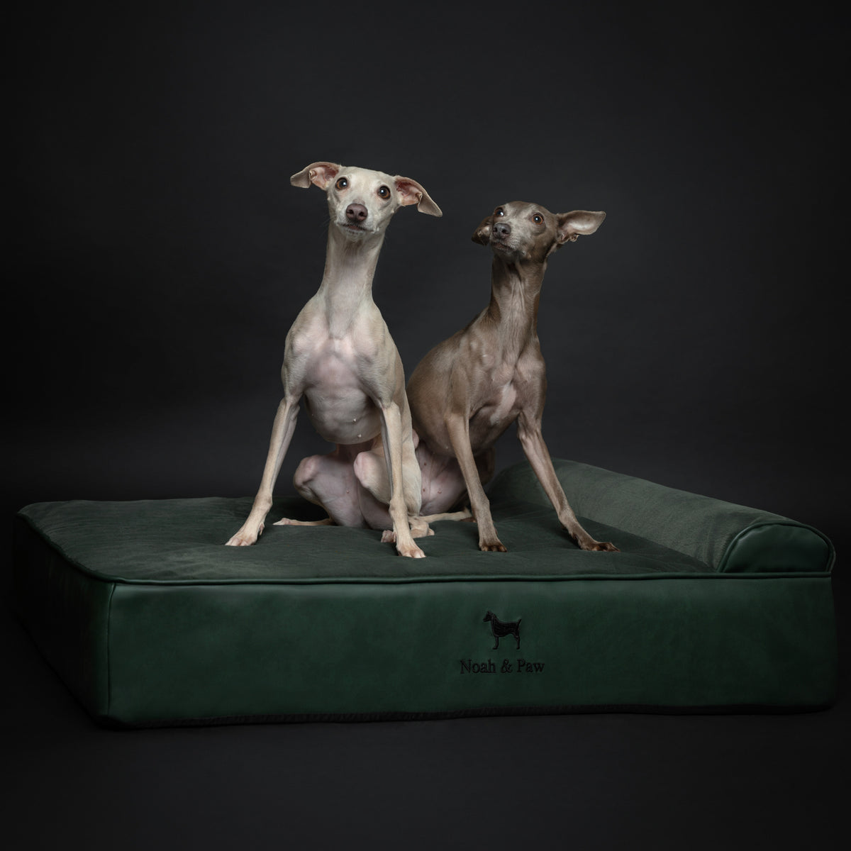 Orthopedic Faux Leather Pet Bed Classic Style - Dark Green - L