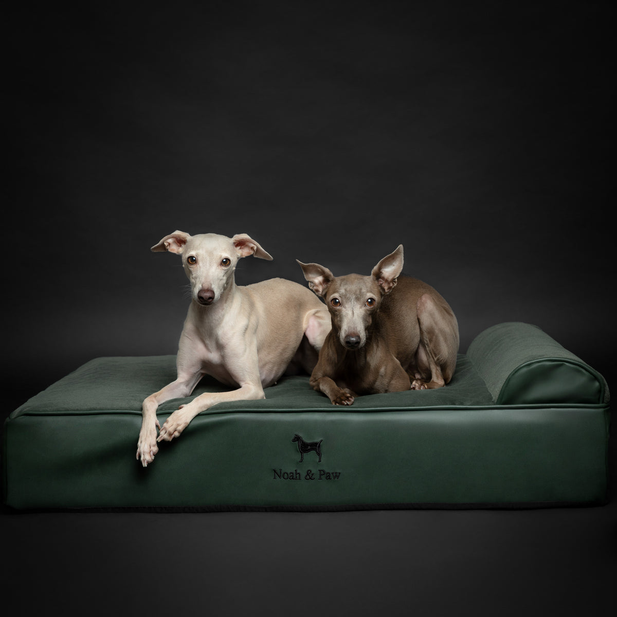 Orthopedic Faux Leather Pet Bed Classic Style - Dark Green - L