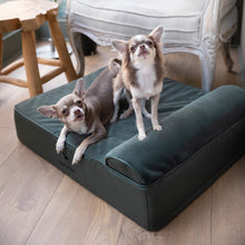 Noah & Paw orthopedic classic dog bed in faux leather with memory foam and cooling gel, dark green, size M (28 x 23 x 7.5 in)