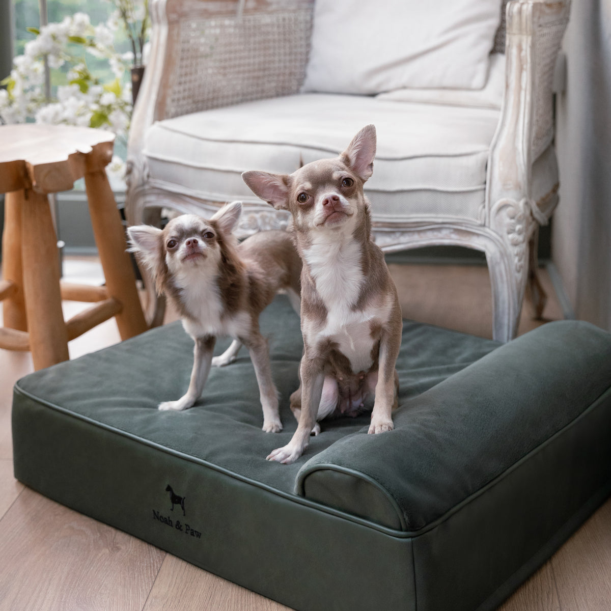Orthopedic Faux Leather Pet Bed Classic Style - Dark Green - M