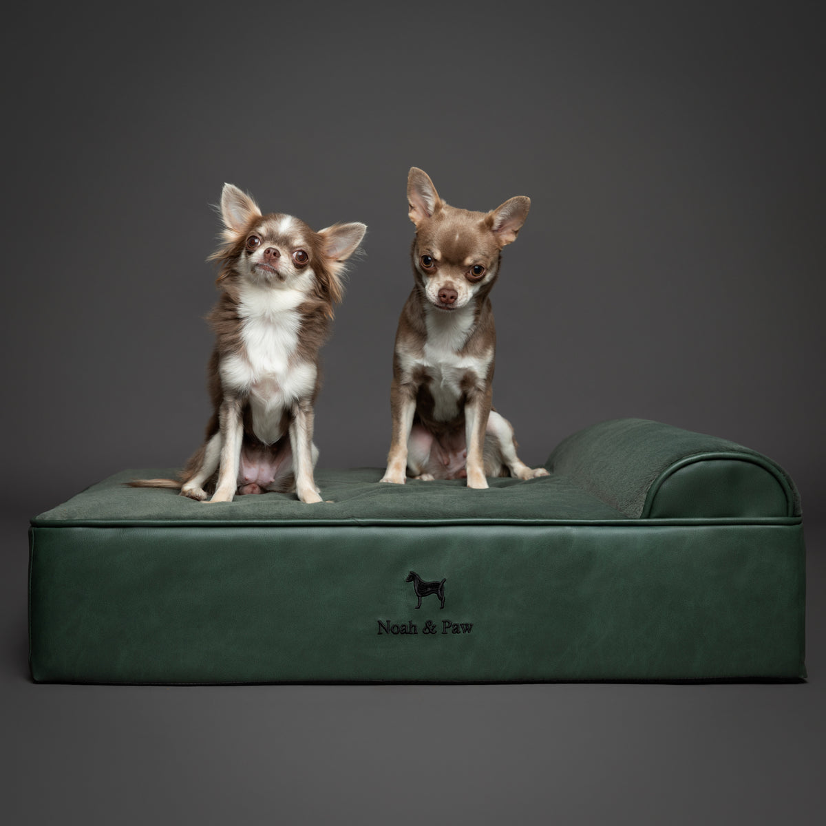 Orthopedic Faux Leather Pet Bed Classic Style - Dark Green - M