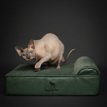 Noah & Paw orthopedic classic dog bed in faux leather with memory foam and cooling gel, dark green, size S (20 x 15 x 6.5 in)
