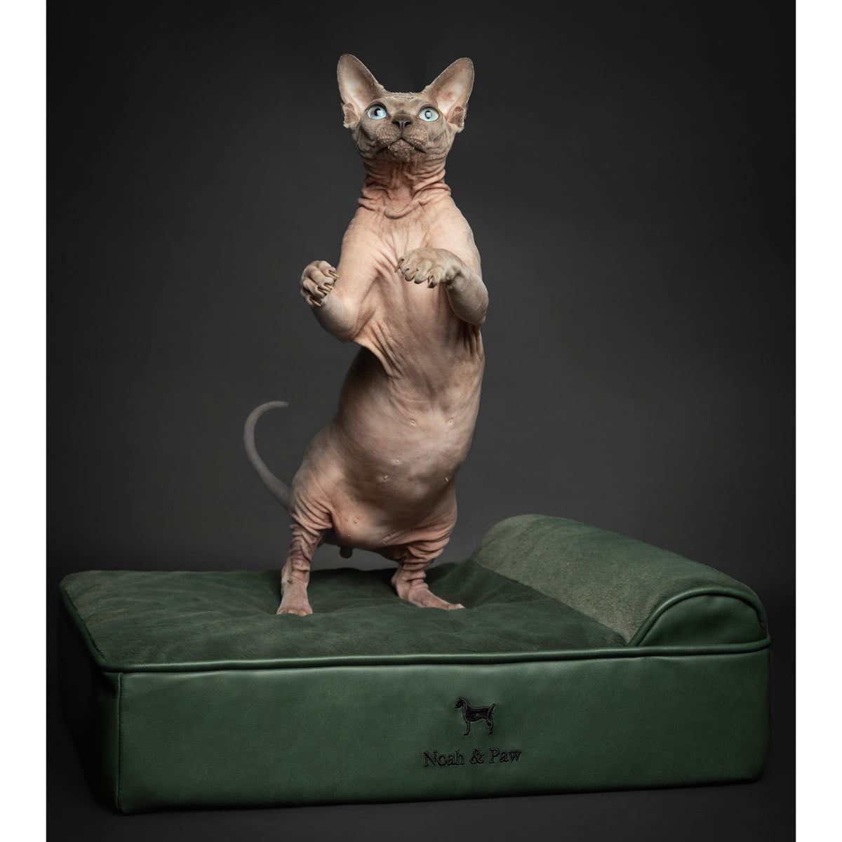 Orthopedic Faux Leather Pet Bed Classic Style - Dark Green - S