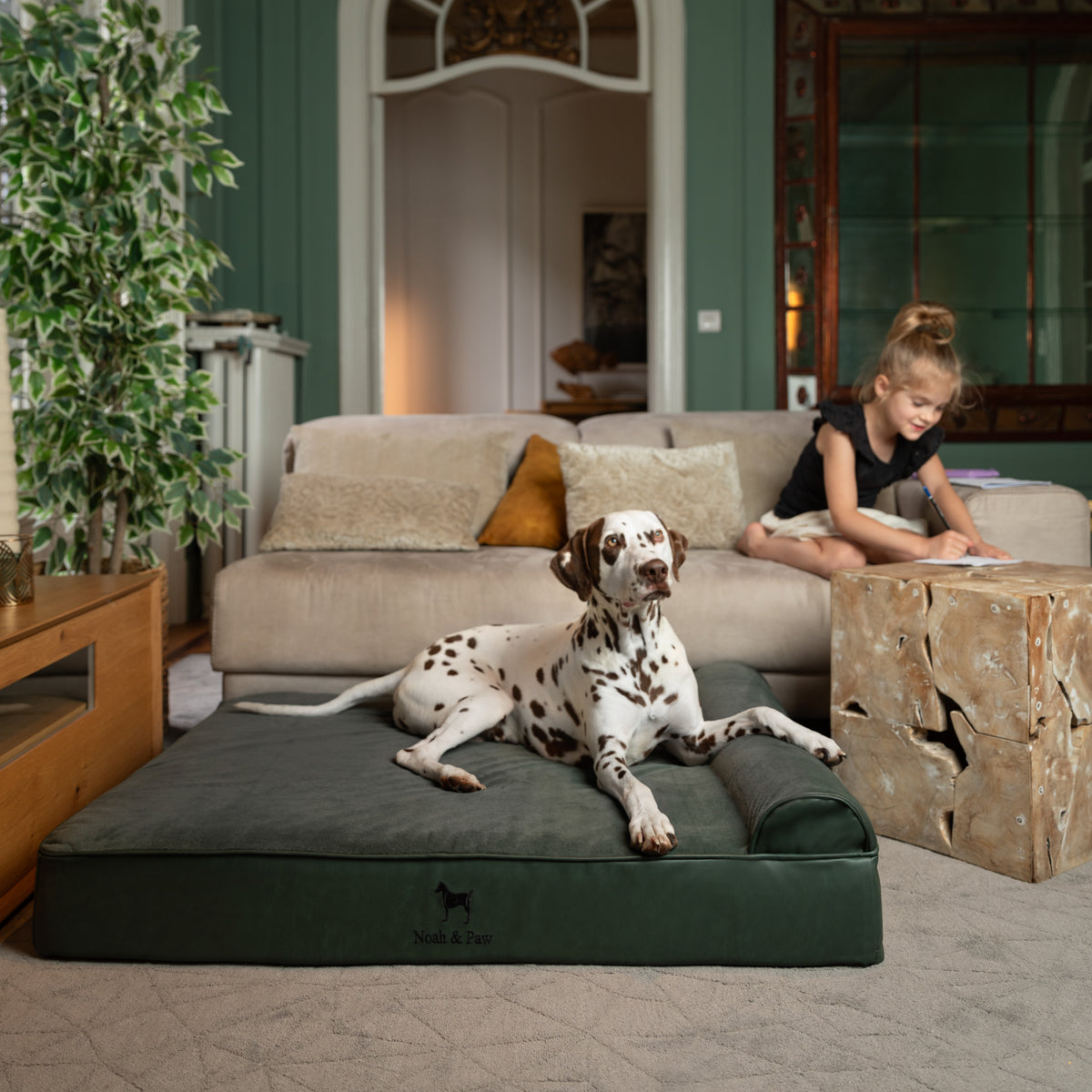 Orthopedic Faux Leather Pet Bed Classic Style - Dark Green - XL