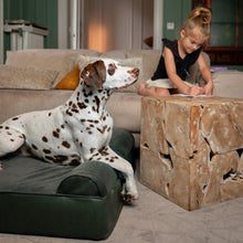 Noah & Paw orthopedic classic dog bed in faux leather with memory foam and cooling gel, dark green, size XL (45 x 35 x 9 in)