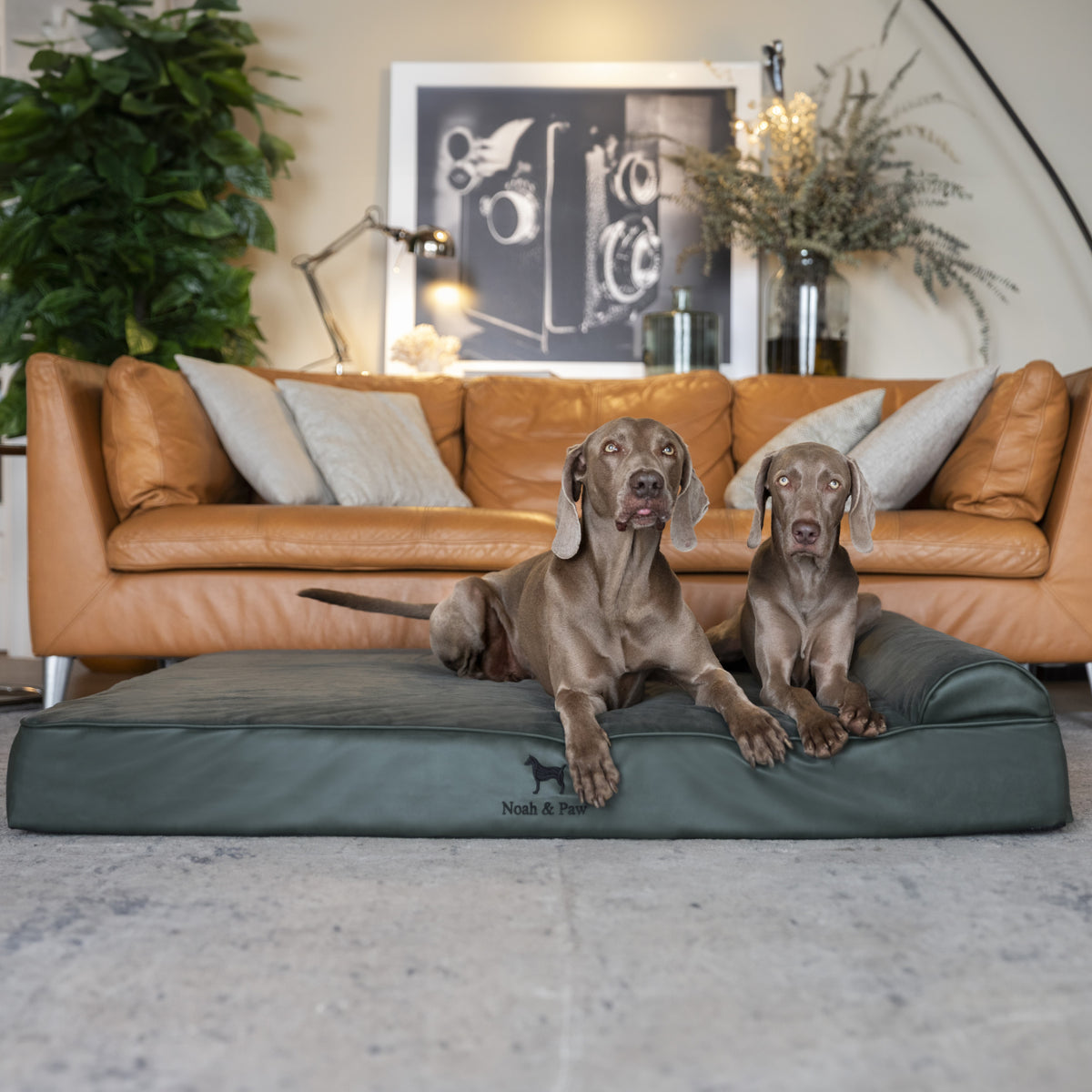 Orthopedic Faux Leather Pet Bed Classic Style - Dark Green - XL