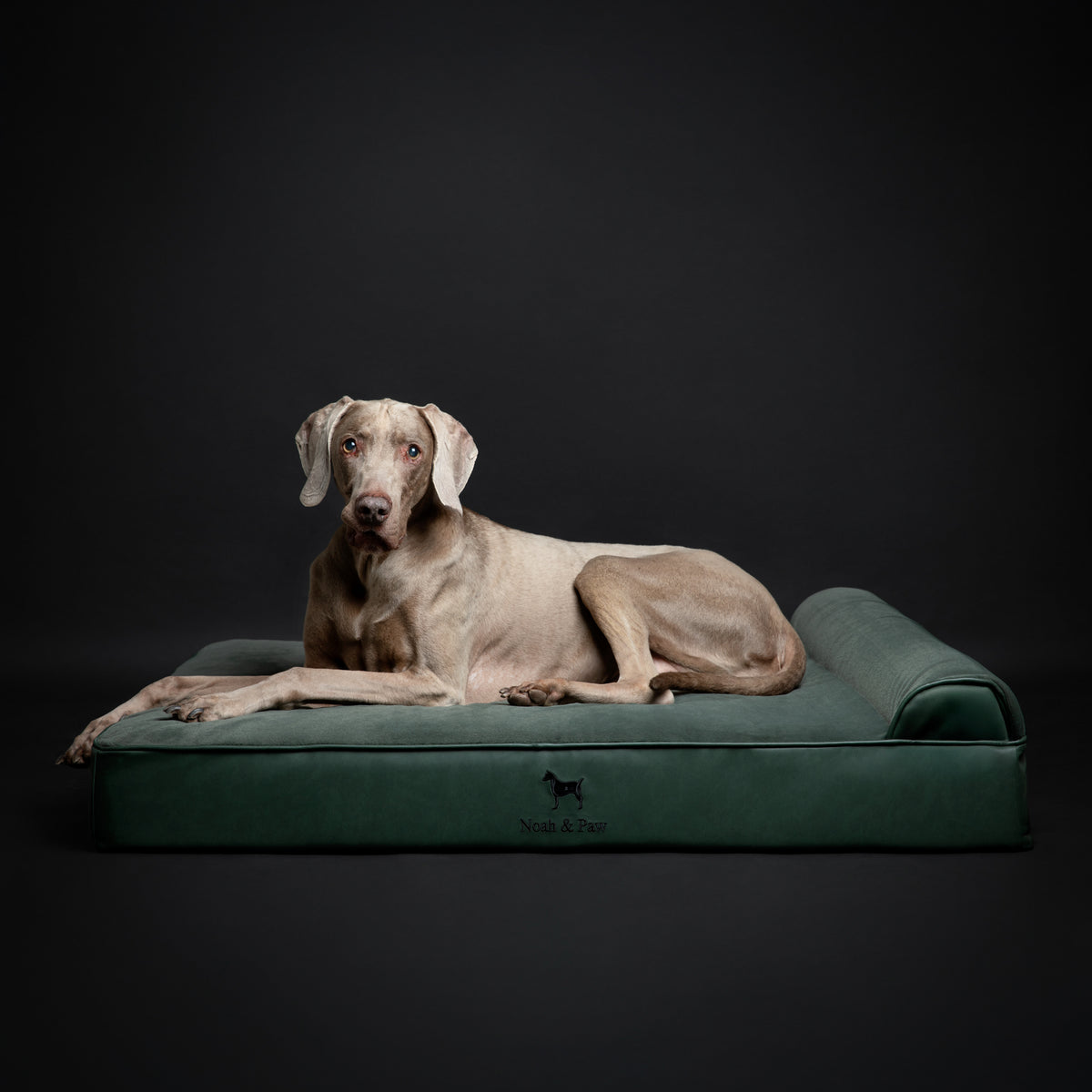 Orthopedic Faux Leather Pet Bed Classic Style - Dark Green - XL