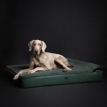 Noah & Paw orthopedic classic dog bed in faux leather with memory foam and cooling gel, dark green, size XL (45 x 35 x 9 in)