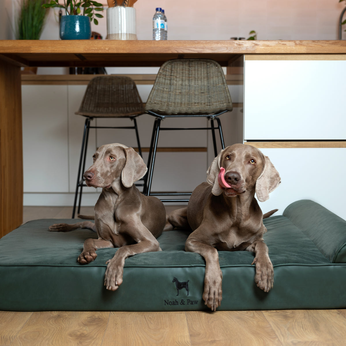 Orthopedic Faux Leather Pet Bed Classic Style - Dark Green - XXL