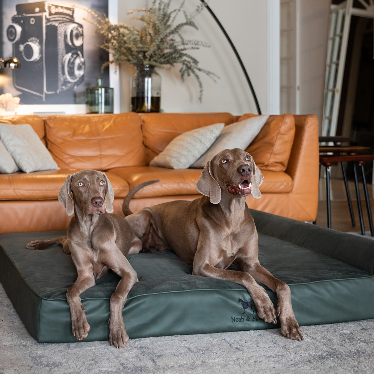 Noah & Paw orthopedic classic dog bed in faux leather with memory foam and cooling gel, dark green, size XXL (55 x 45 x 9.5 in)