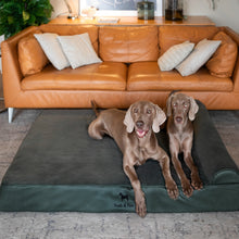 Noah & Paw orthopedic classic dog bed in faux leather with memory foam and cooling gel, dark green, size XXL (55 x 45 x 9.5 in)