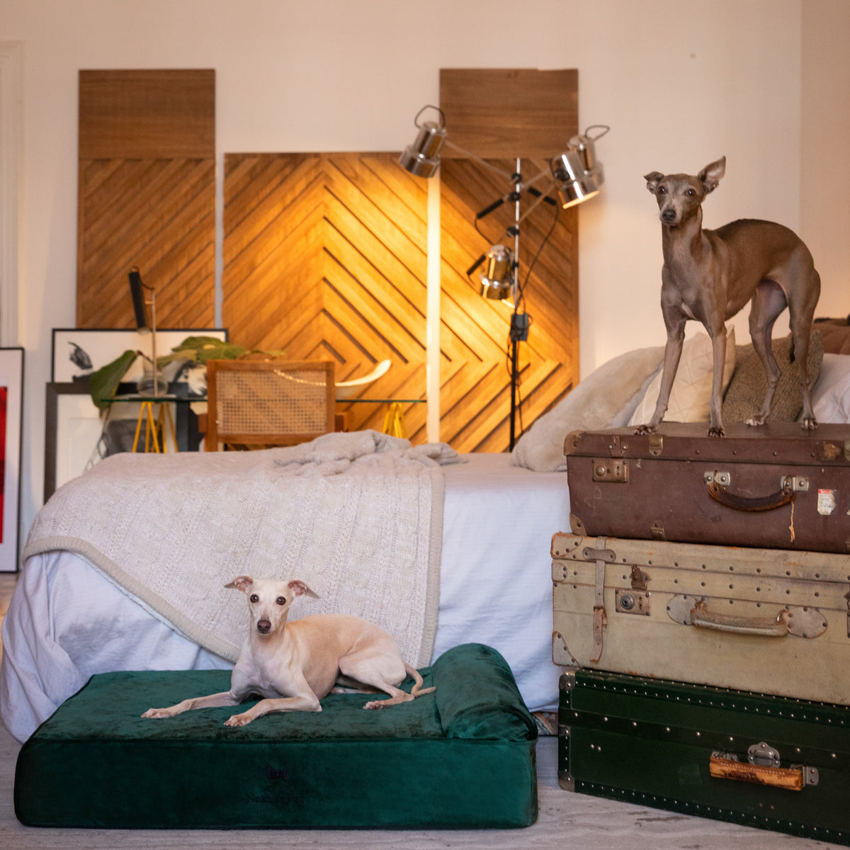 Velvet, Orthopedic Pet Bed, Classic Style - Dark Green - L