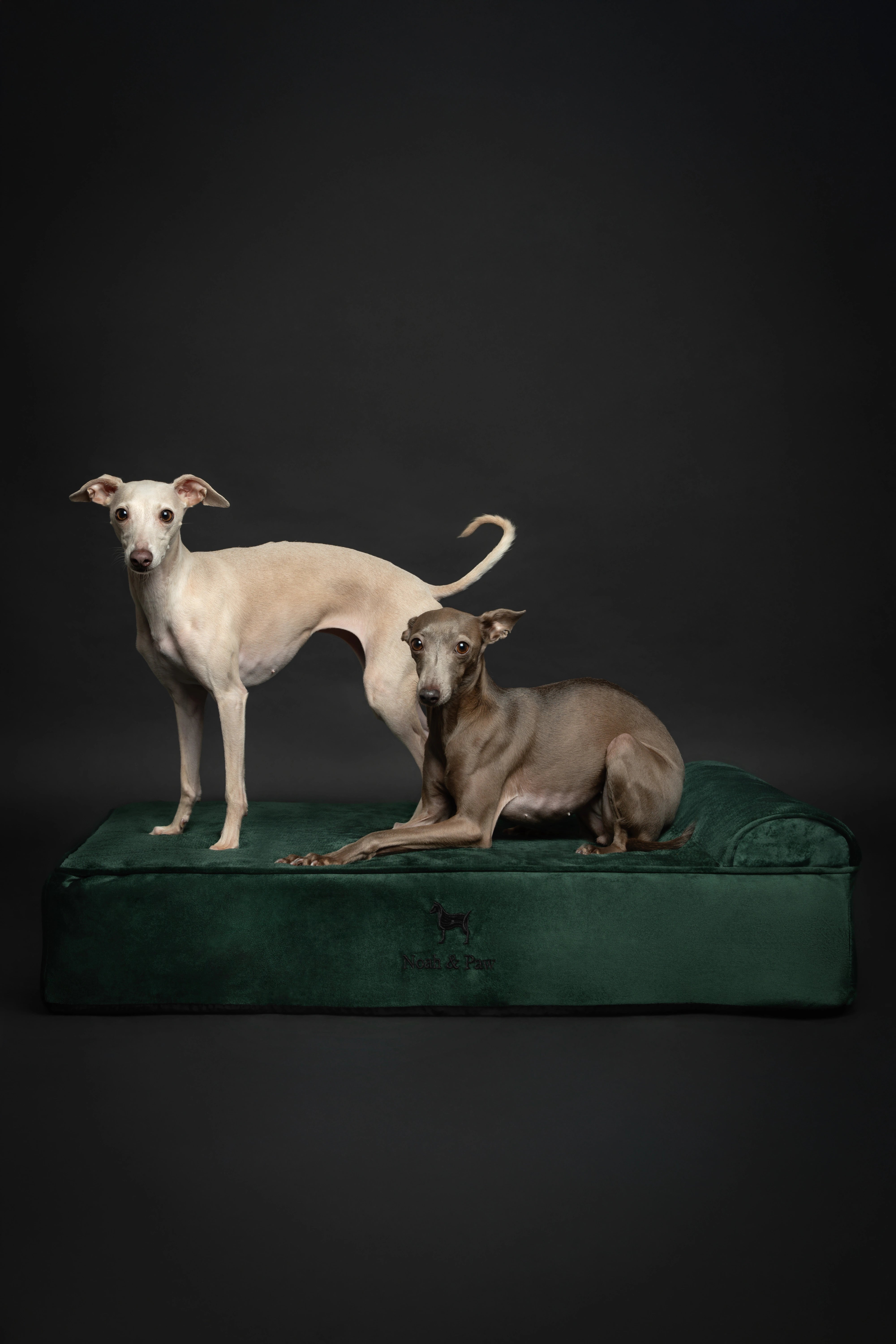 Velvet, Orthopedic Pet Bed, Classic Style - Dark Green - L
