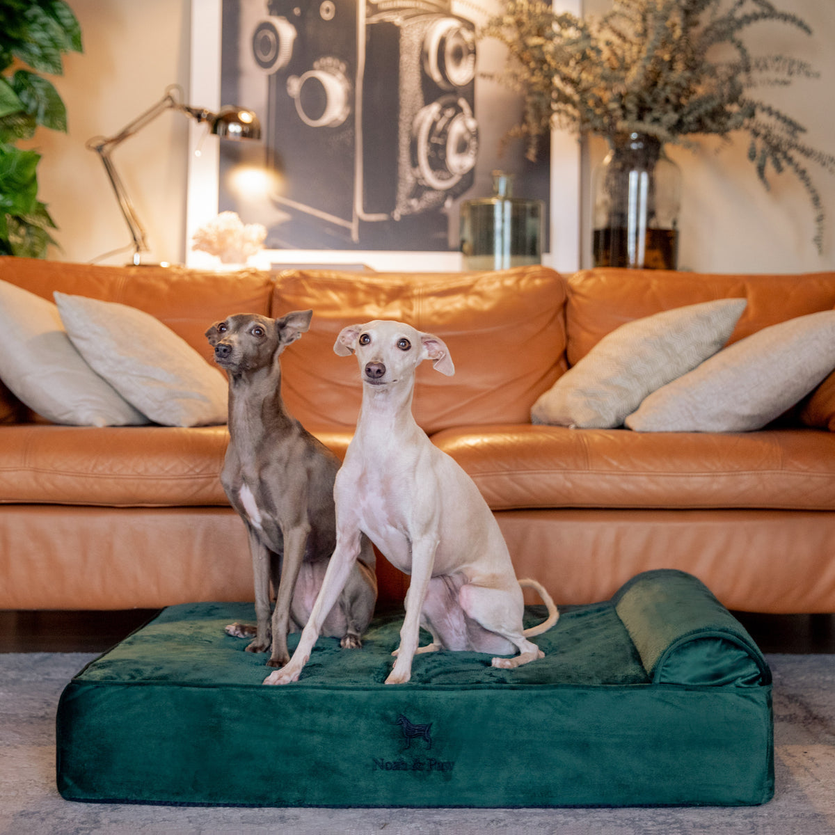Velvet, Orthopedic Pet Bed, Classic Style - Dark Green - L