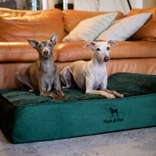 Noah & Paw orthopedic classic dog bed in velvet with memory foam and cooling gel, dark green, size L (35 x 25 x 8.5 in)