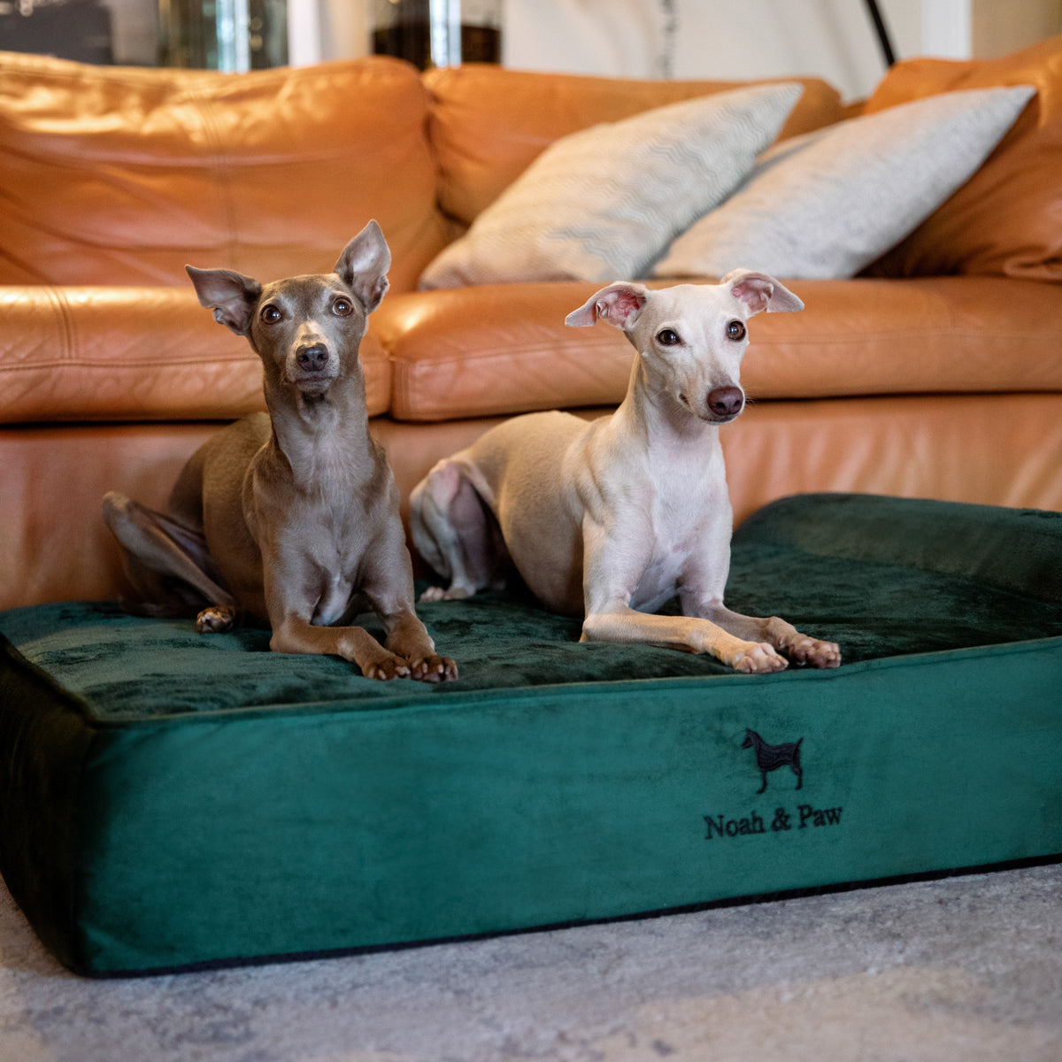Velvet, Orthopedic Pet Bed, Classic Style - Dark Green - L