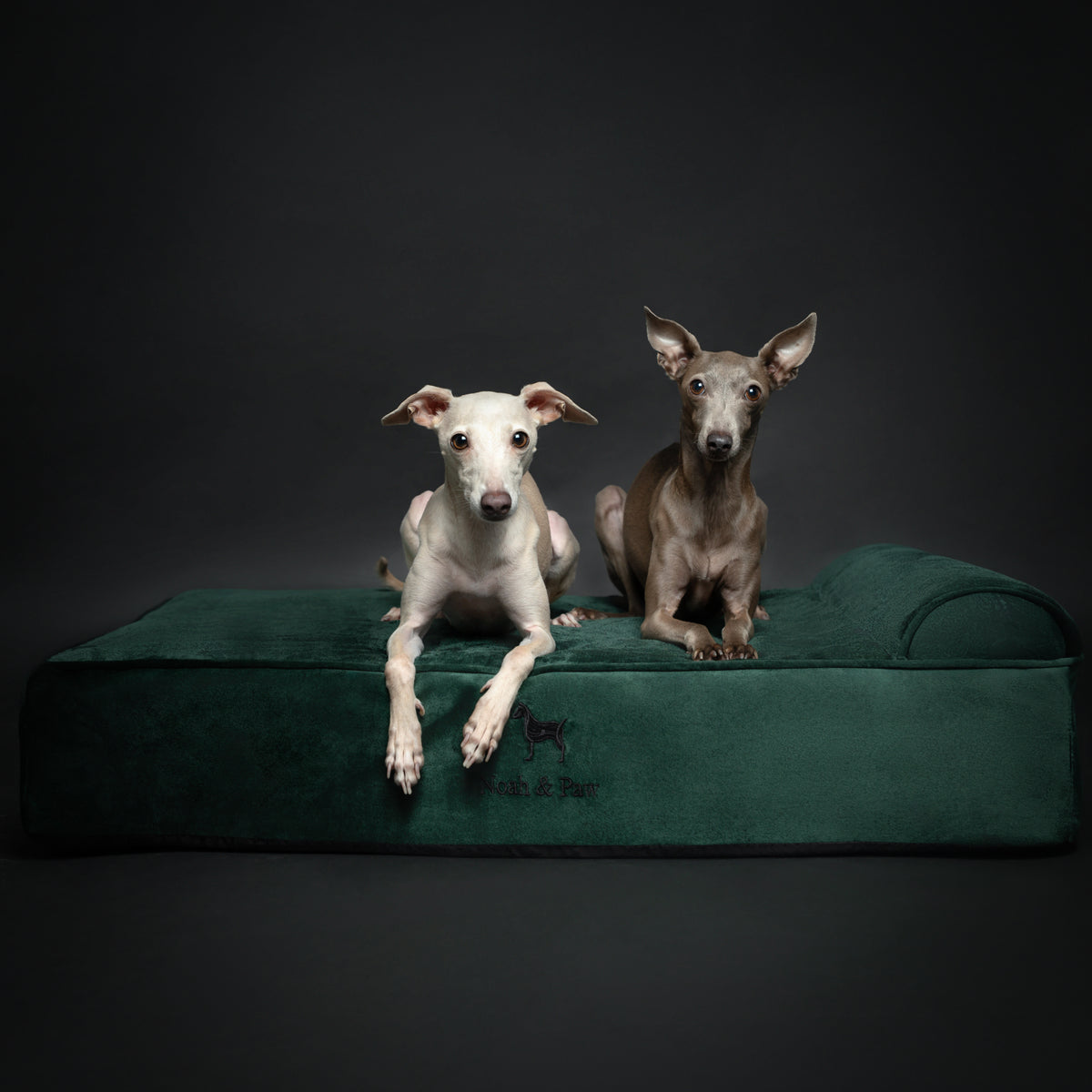 Velvet, Orthopedic Pet Bed, Classic Style - Dark Green - L