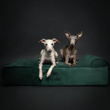 Noah & Paw orthopedic classic dog bed in velvet with memory foam and cooling gel, dark green, size L (35 x 25 x 8.5 in)