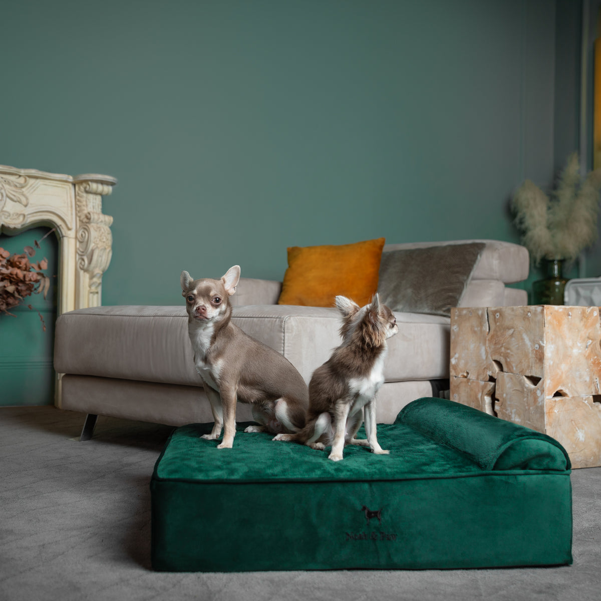 Velvet, Orthopedic Pet Bed, Classic Style - Dark Green - M