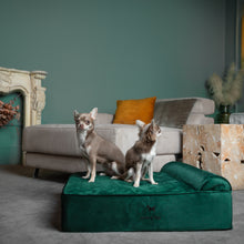 Noah & Paw orthopedic classic dog bed in velvet with memory foam and cooling gel, dark green, size M (28 x 23 x 7.5 in)