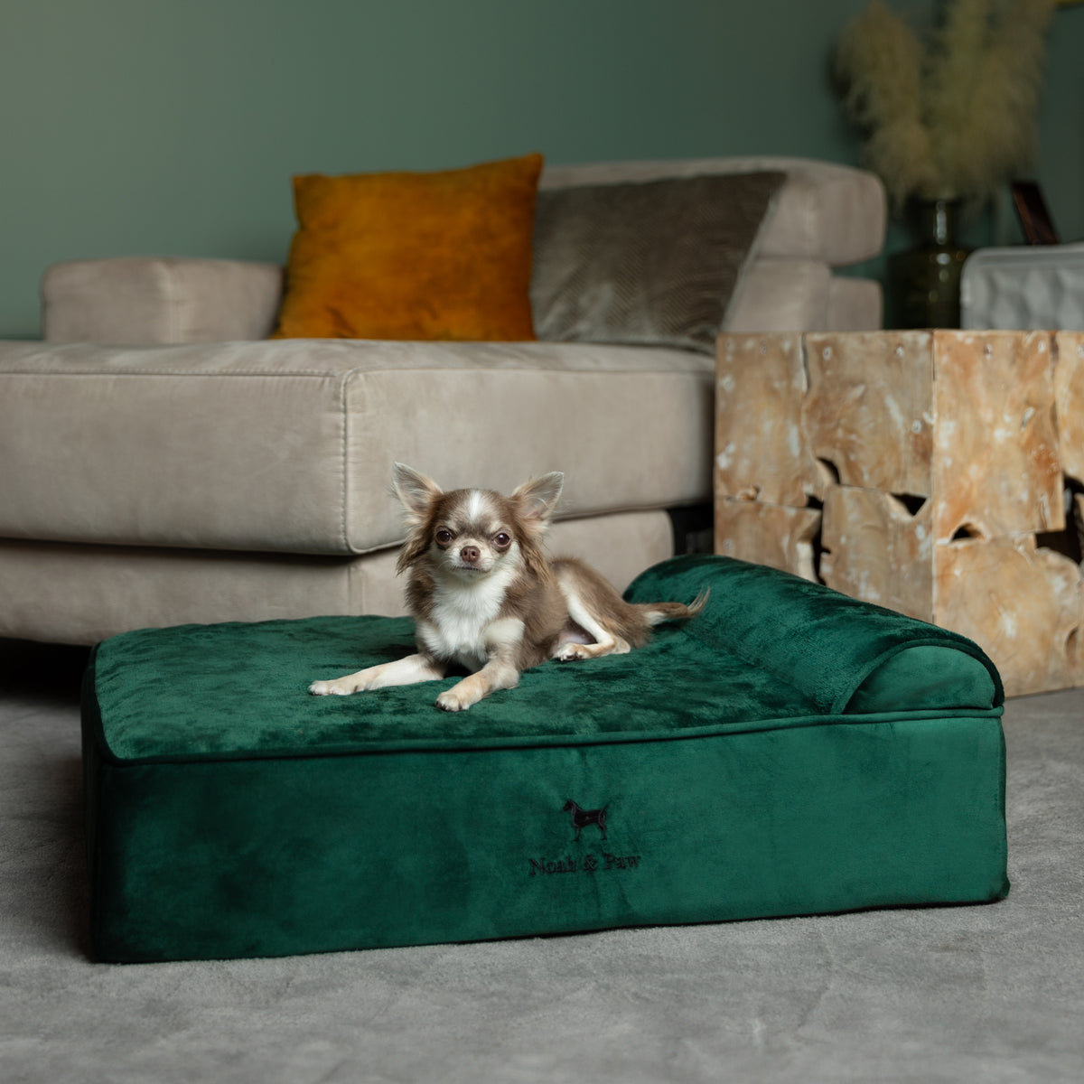 Velvet, Orthopedic Pet Bed, Classic Style - Dark Green - M