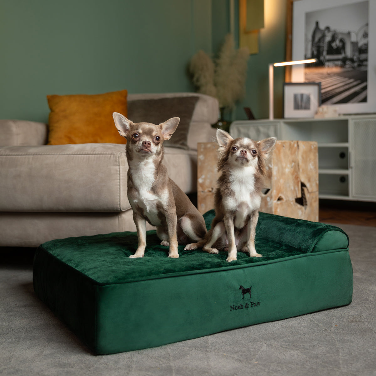 Velvet, Orthopedic Pet Bed, Classic Style - Dark Green - M