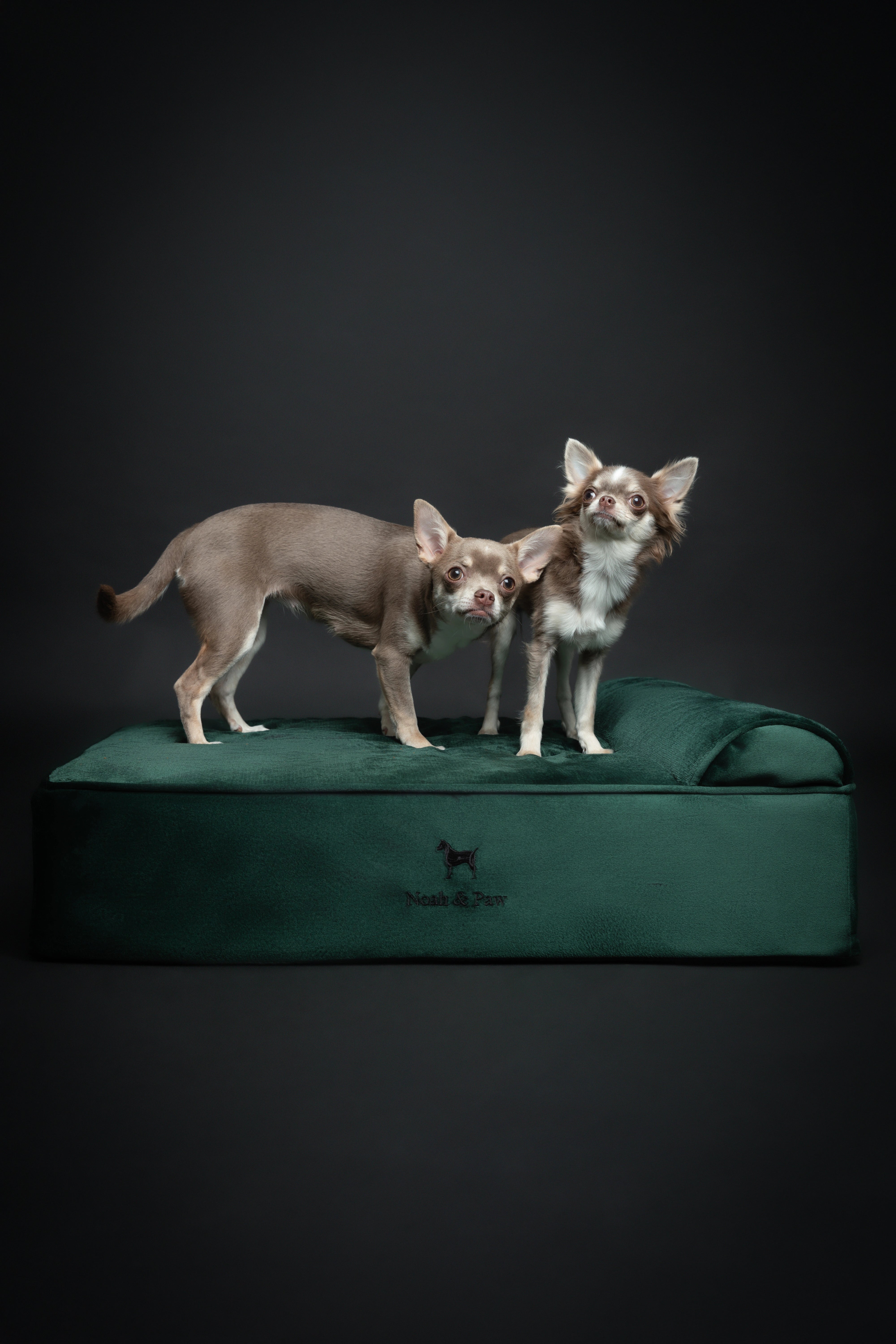 Velvet, Orthopedic Pet Bed, Classic Style - Dark Green - M