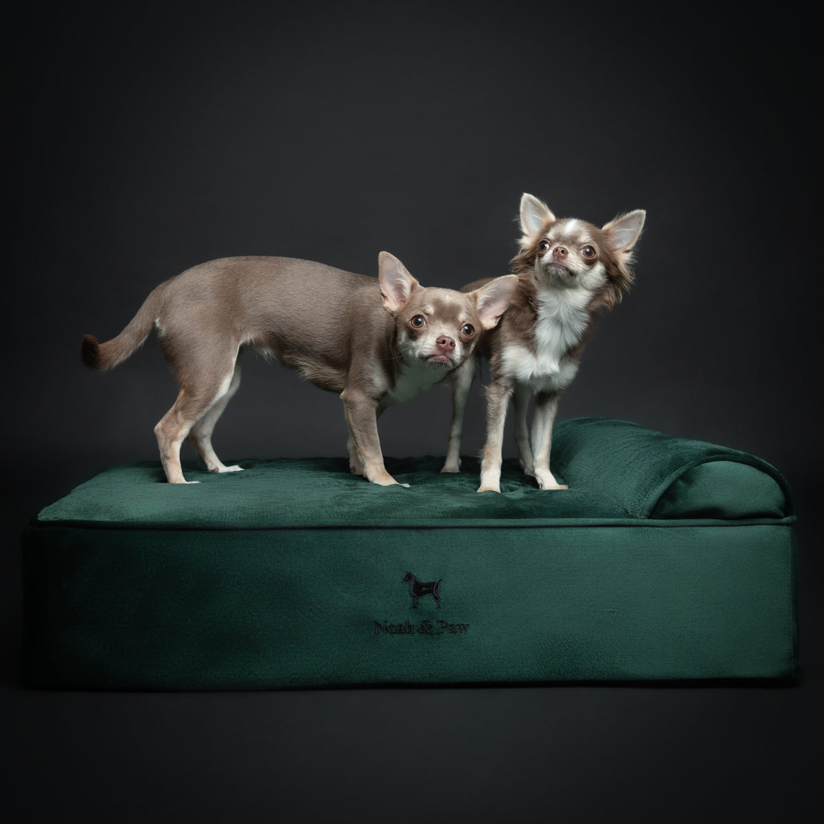 Velvet, Orthopedic Pet Bed, Classic Style - Dark Green - M