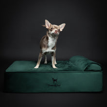 Noah & Paw orthopedic classic dog bed in velvet with memory foam and cooling gel, dark green, size M (28 x 23 x 7.5 in)