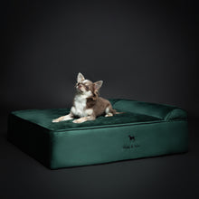 Noah & Paw orthopedic classic dog bed in velvet with memory foam and cooling gel, dark green, size M (28 x 23 x 7.5 in)