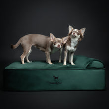 Velvet Orthopedic Pet Bed, Memory Foam, Infused with Cooling Gel - Classic