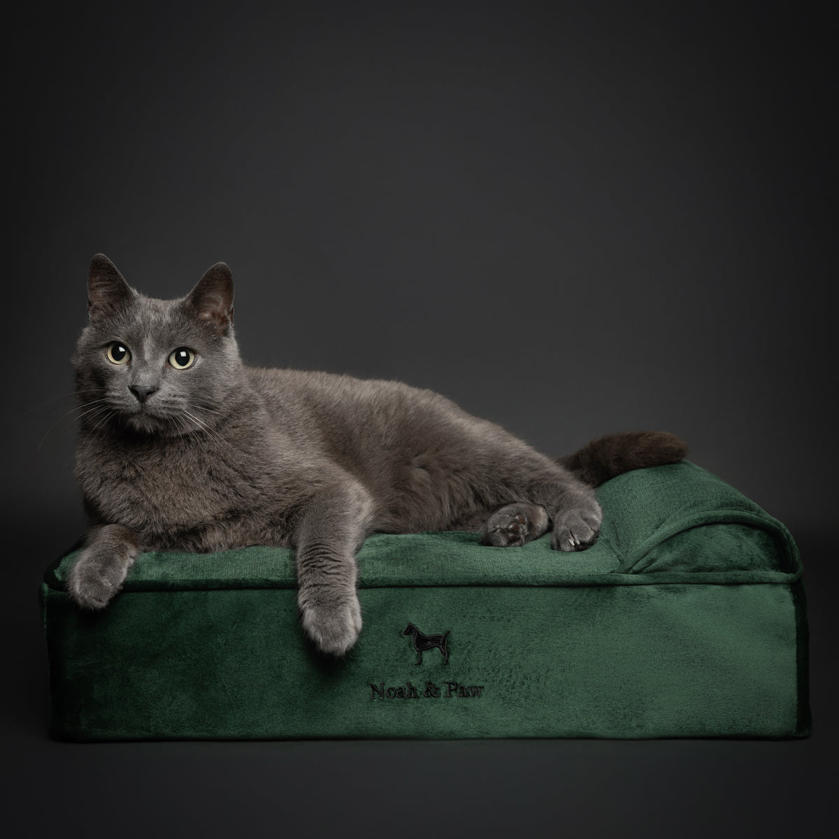 Velvet, Orthopedic Pet Bed, Classic Style - Dark Green - S