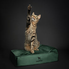 Noah & Paw orthopedic classic dog bed in velvet with memory foam and cooling gel, dark green, size S (20 x 15 x 6.5 in)